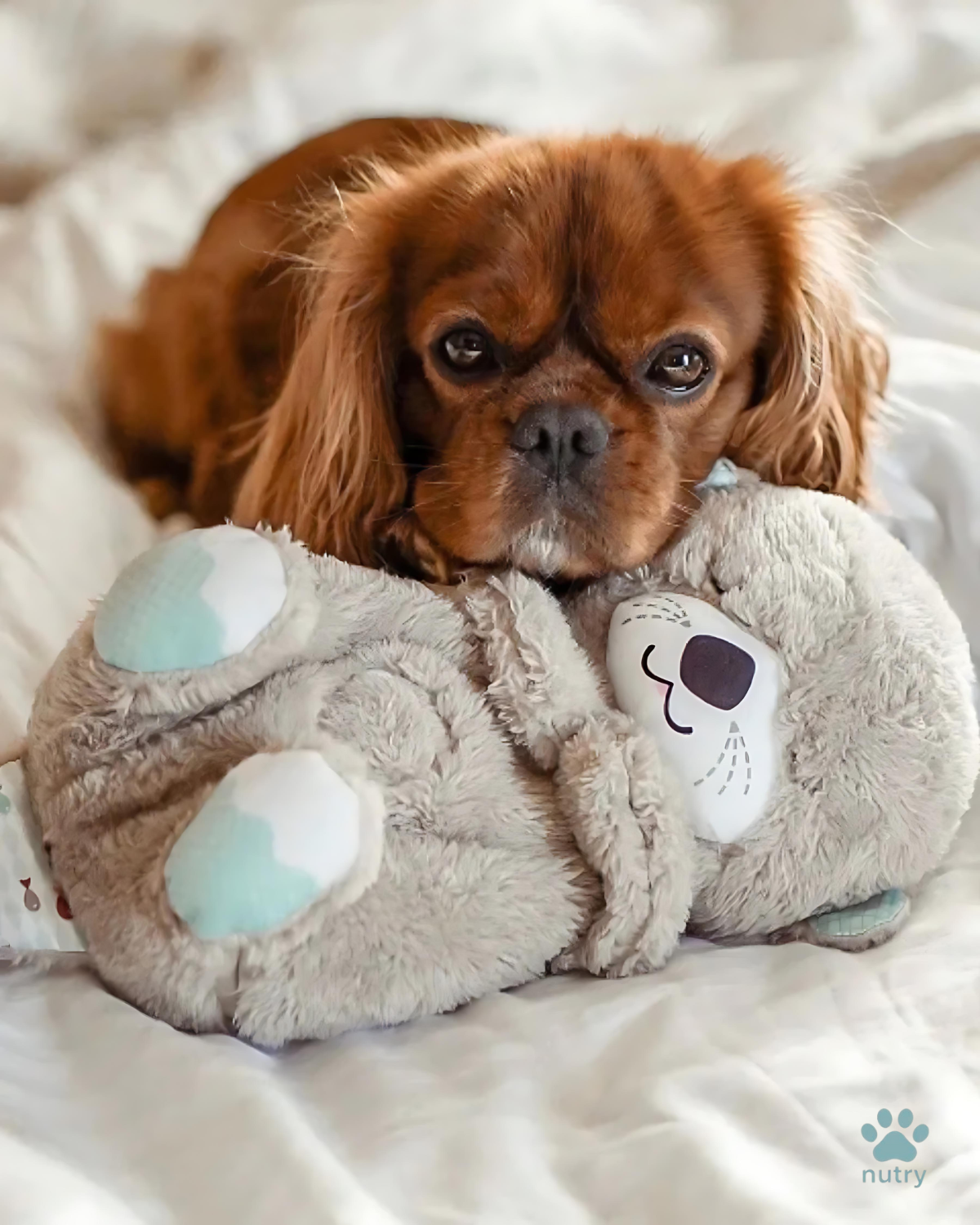 Nutry, el peluche sensorial que respira