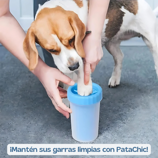 PataChic, limpieza para tu mascota